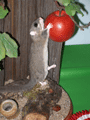 2010-glis